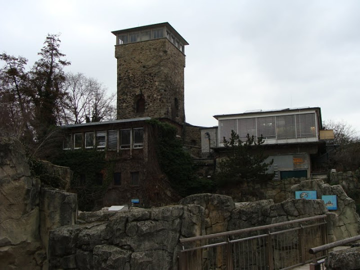The pavilion of the aquarium and the terrarium