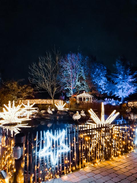 The pelican pond during the Christmas Garden event