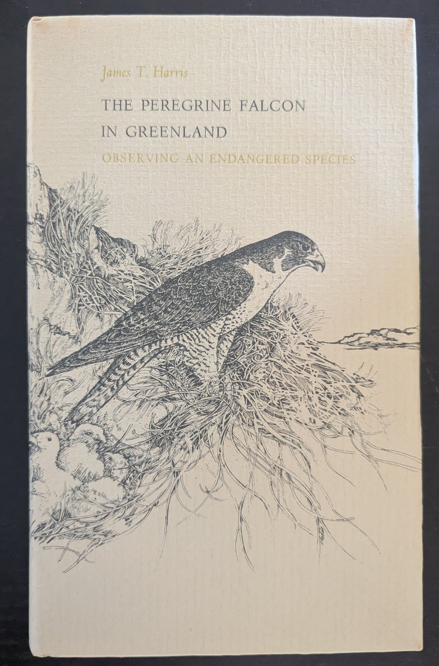 The Peregrine Falcon in Greenland: Observing and Endangered Species