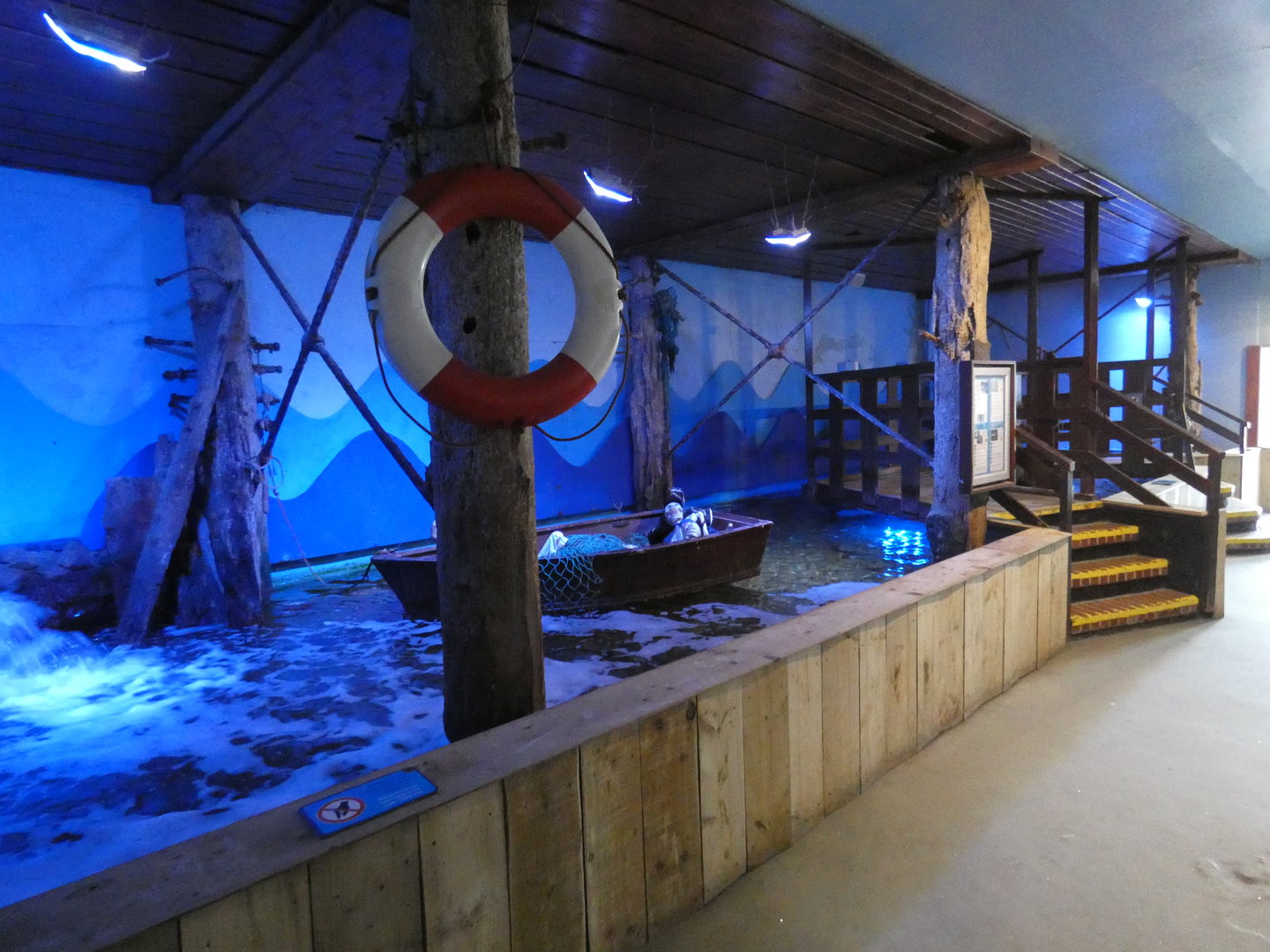 The Pier tank - Anglesey Sea Zoo