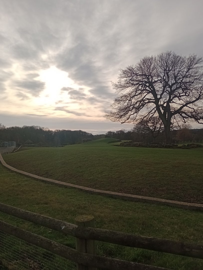 The Plains of Africa panoramic view