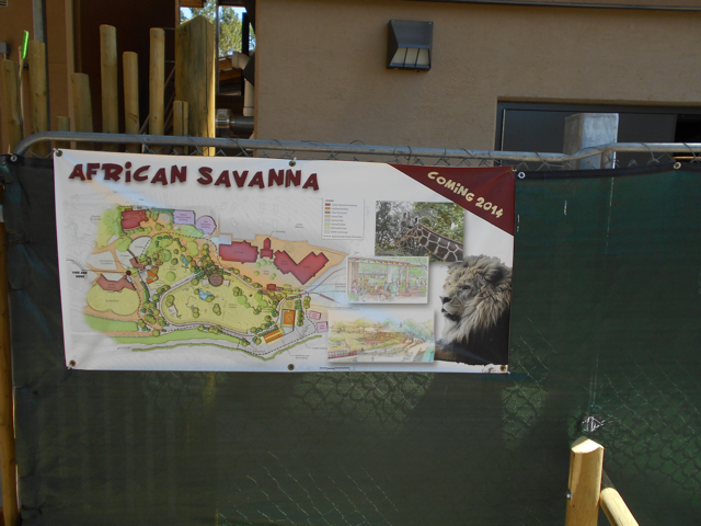 The plan of the new savanna exhibit