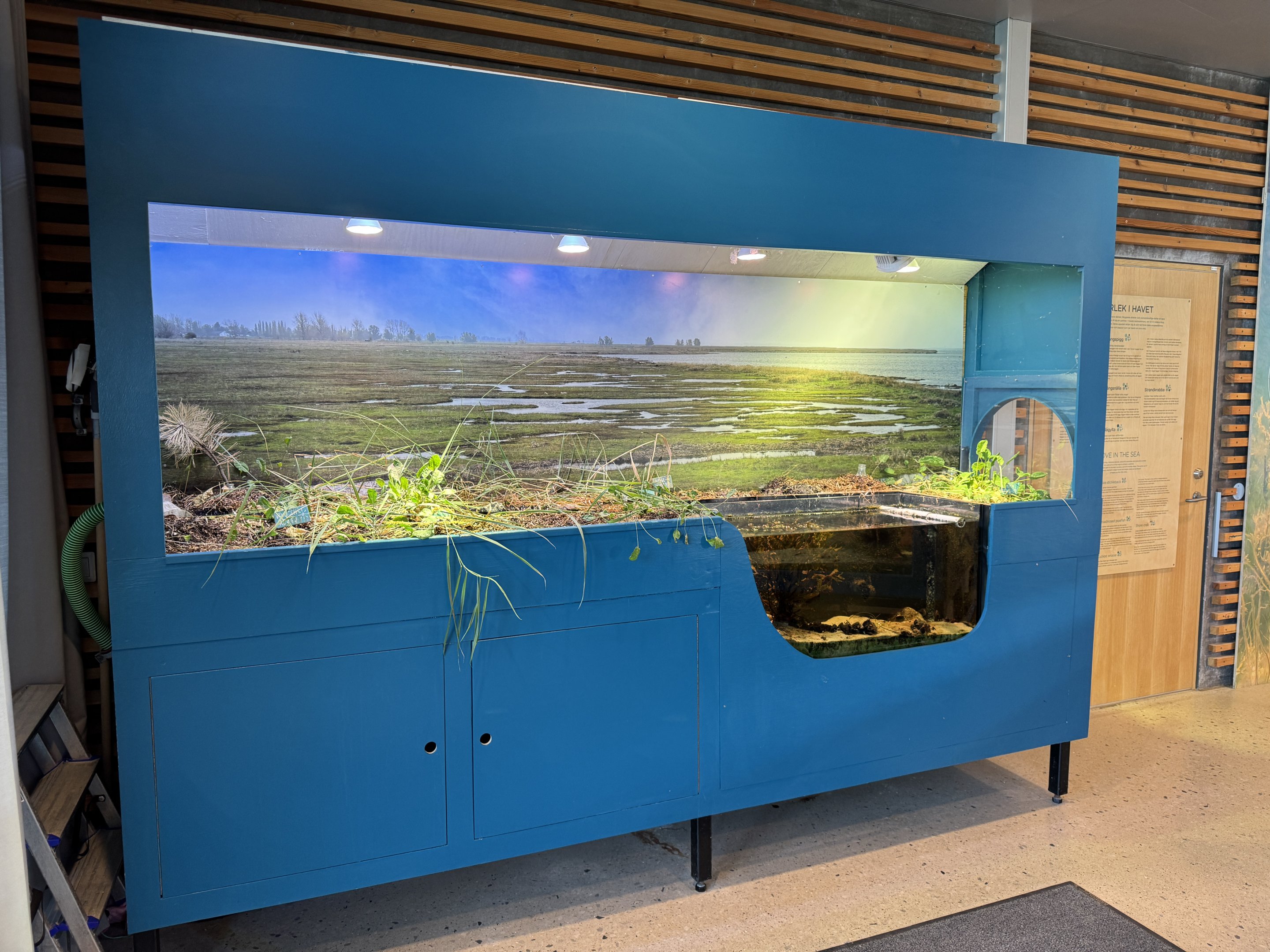 The plant exhibit (Naturum Östersund / Marine Education Center)