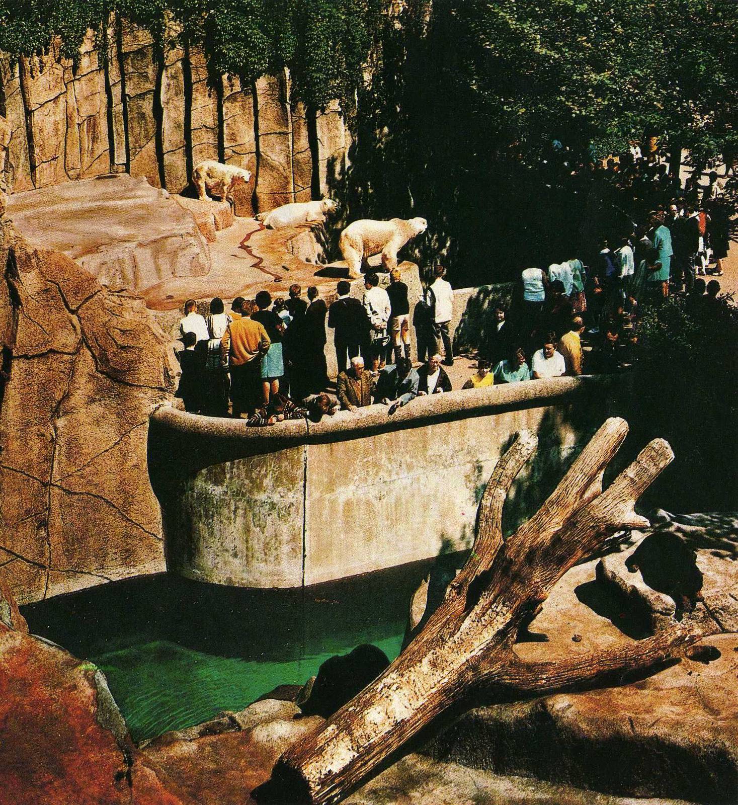 The Poalr Bear Grotto