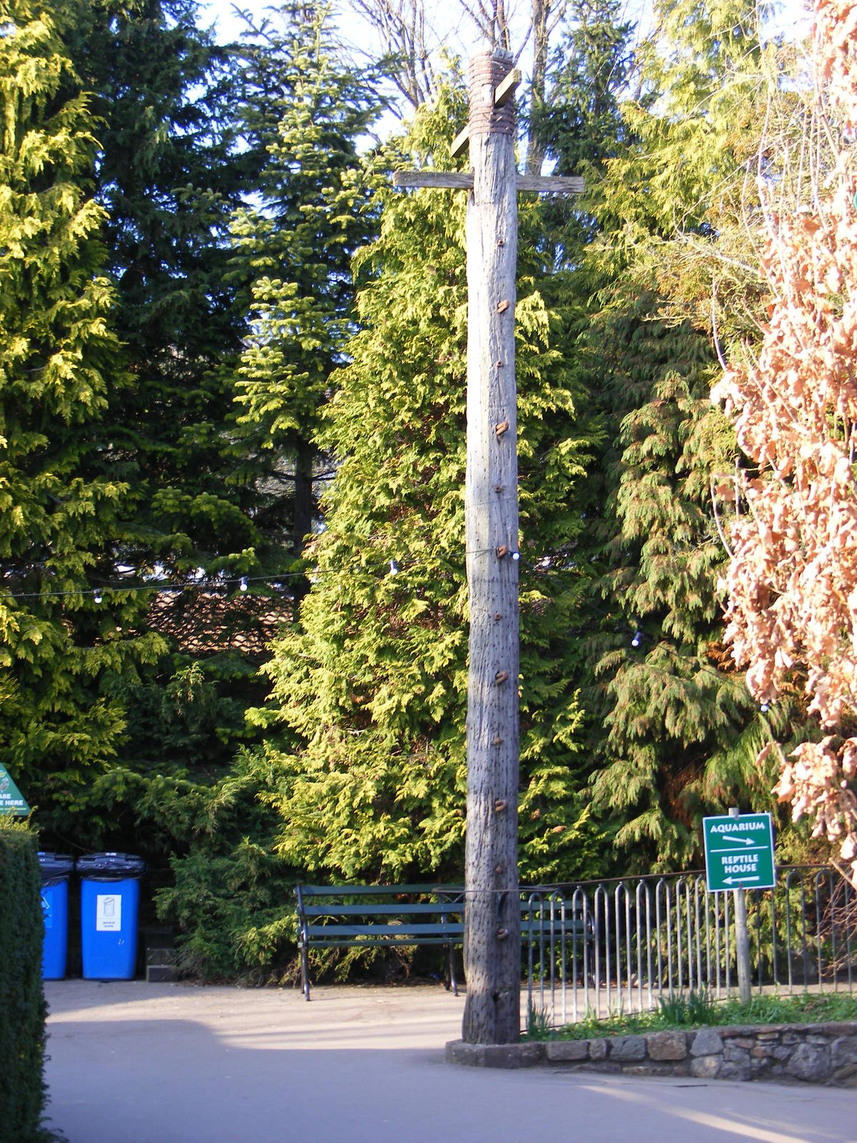 The pole from the old bear pit at Bristol Zoo, 6 March 2011