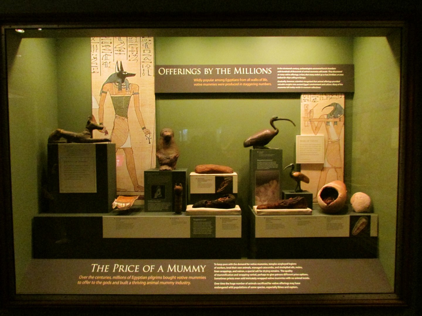 The Price Of A Mummy