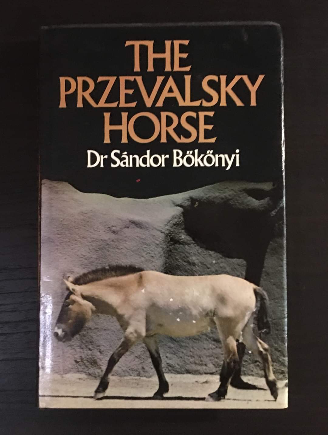 The Przevalsky horse