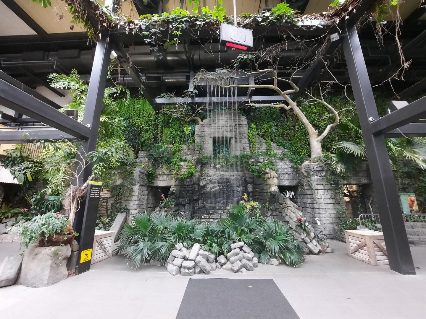 The RainForest - Atrium