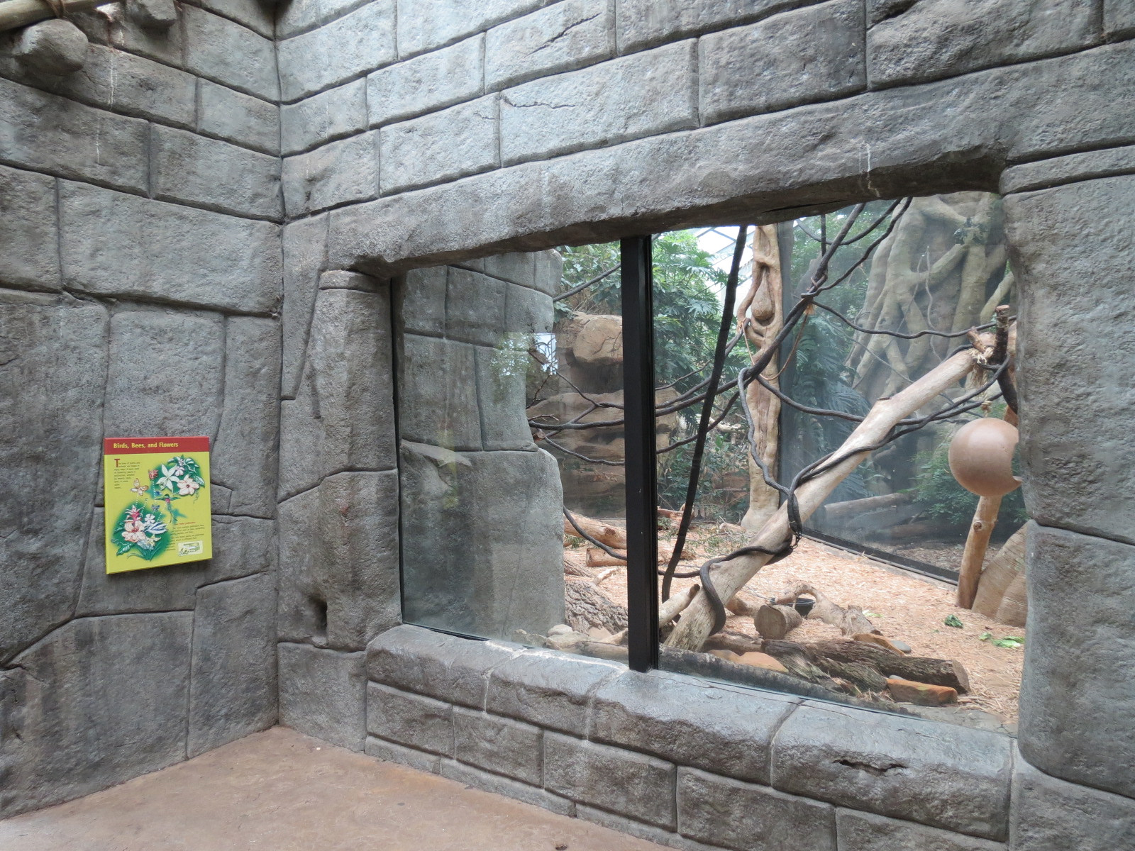 The Rainforest - Black Howler Monkey and Paca Exhibit