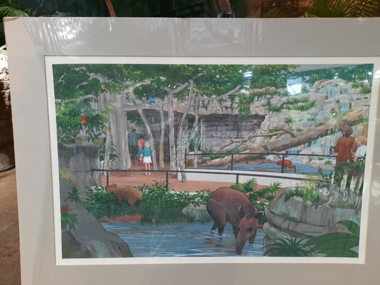 The RainForest Concept Art (1991) - Free Flight Aviary