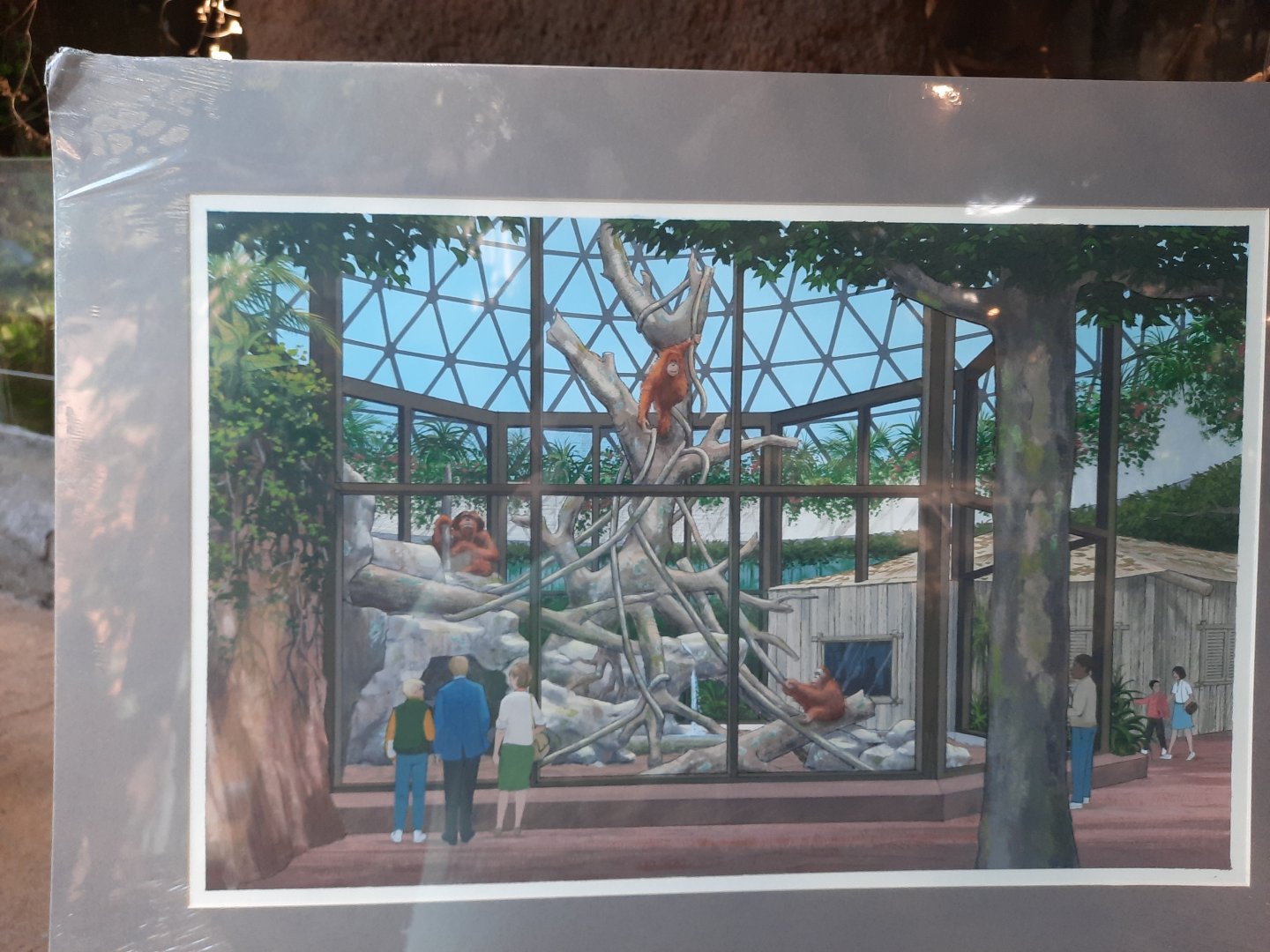 The RainForest Concept Art (1991) - Orangutans