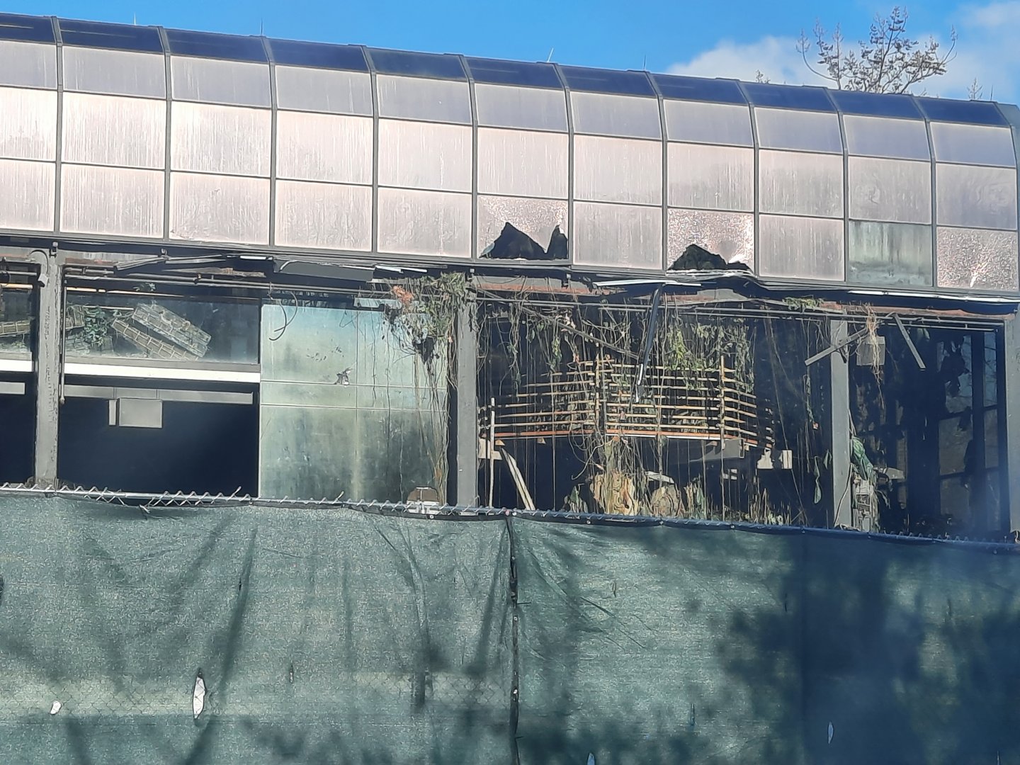 The RainForest Demolition - 12/13 - Tree stairs and elevator