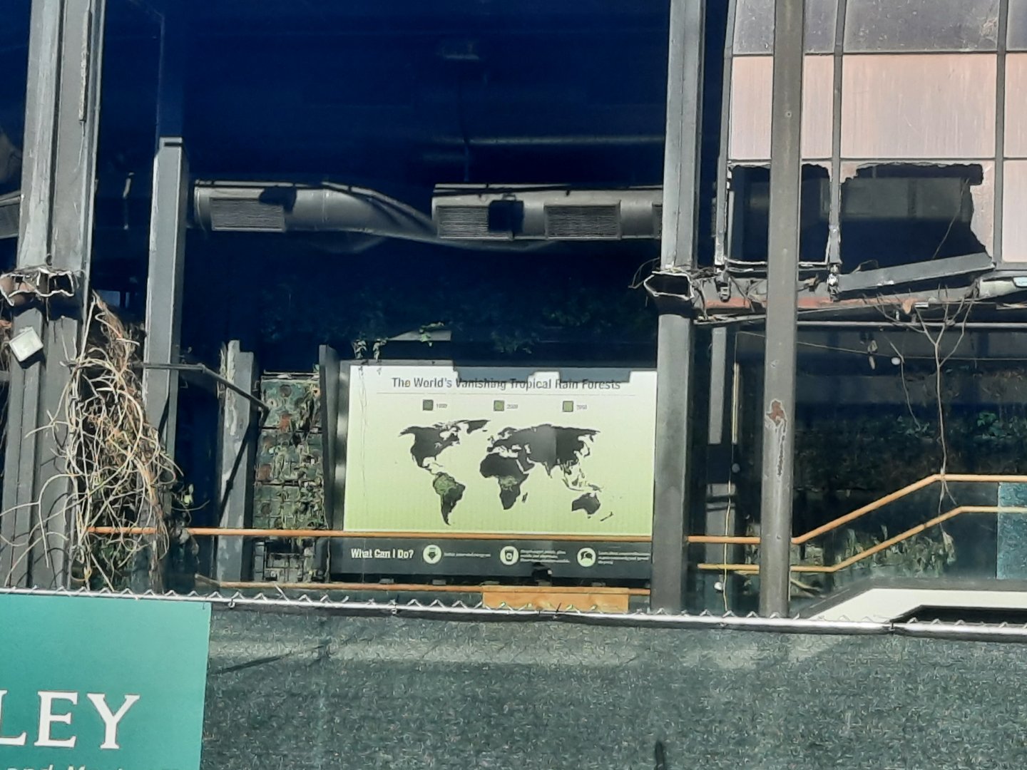 The RainForest Demolition - 12/13 - Vanishing Forests sign