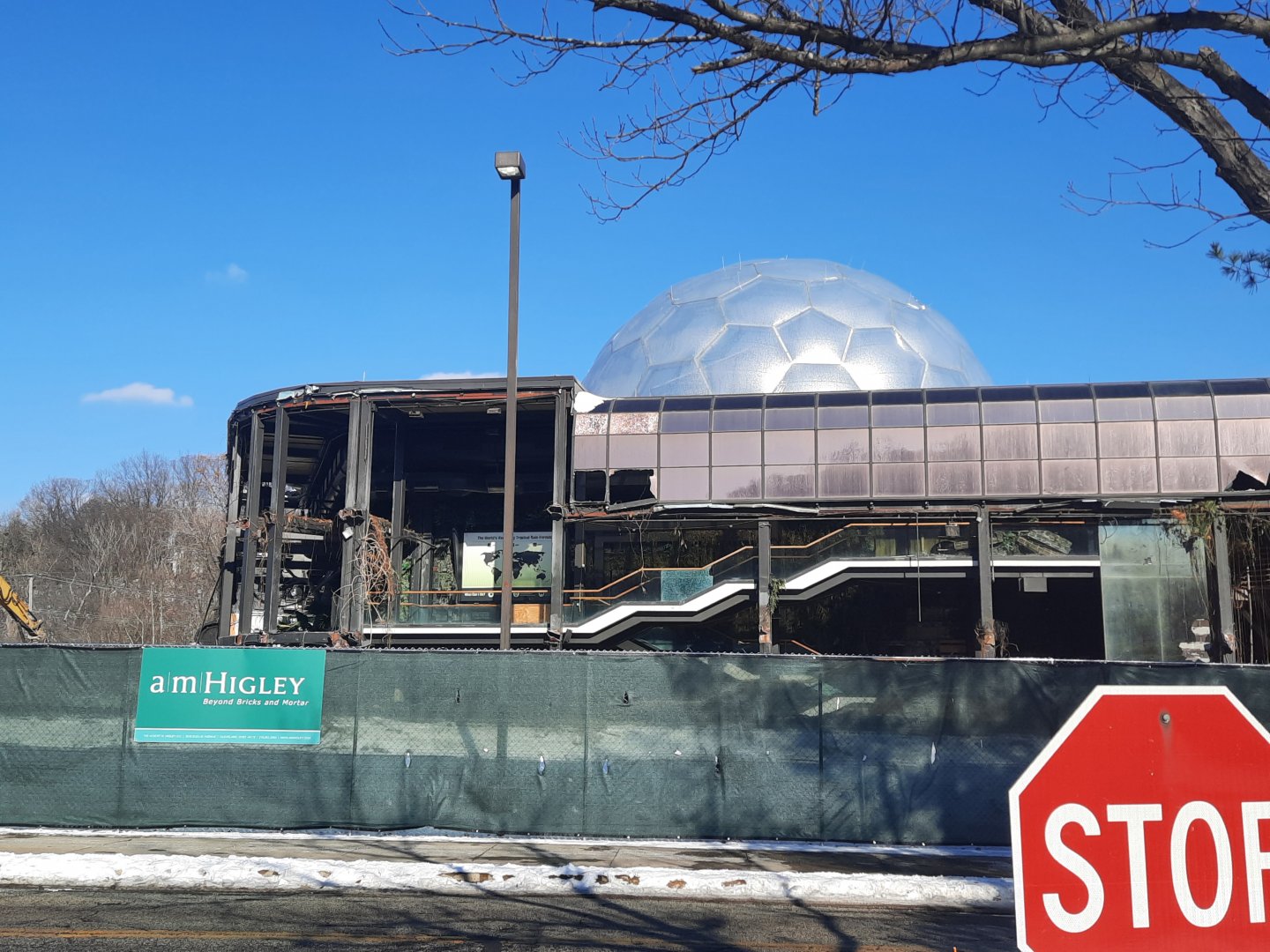 The RainForest Demolition - 12/13