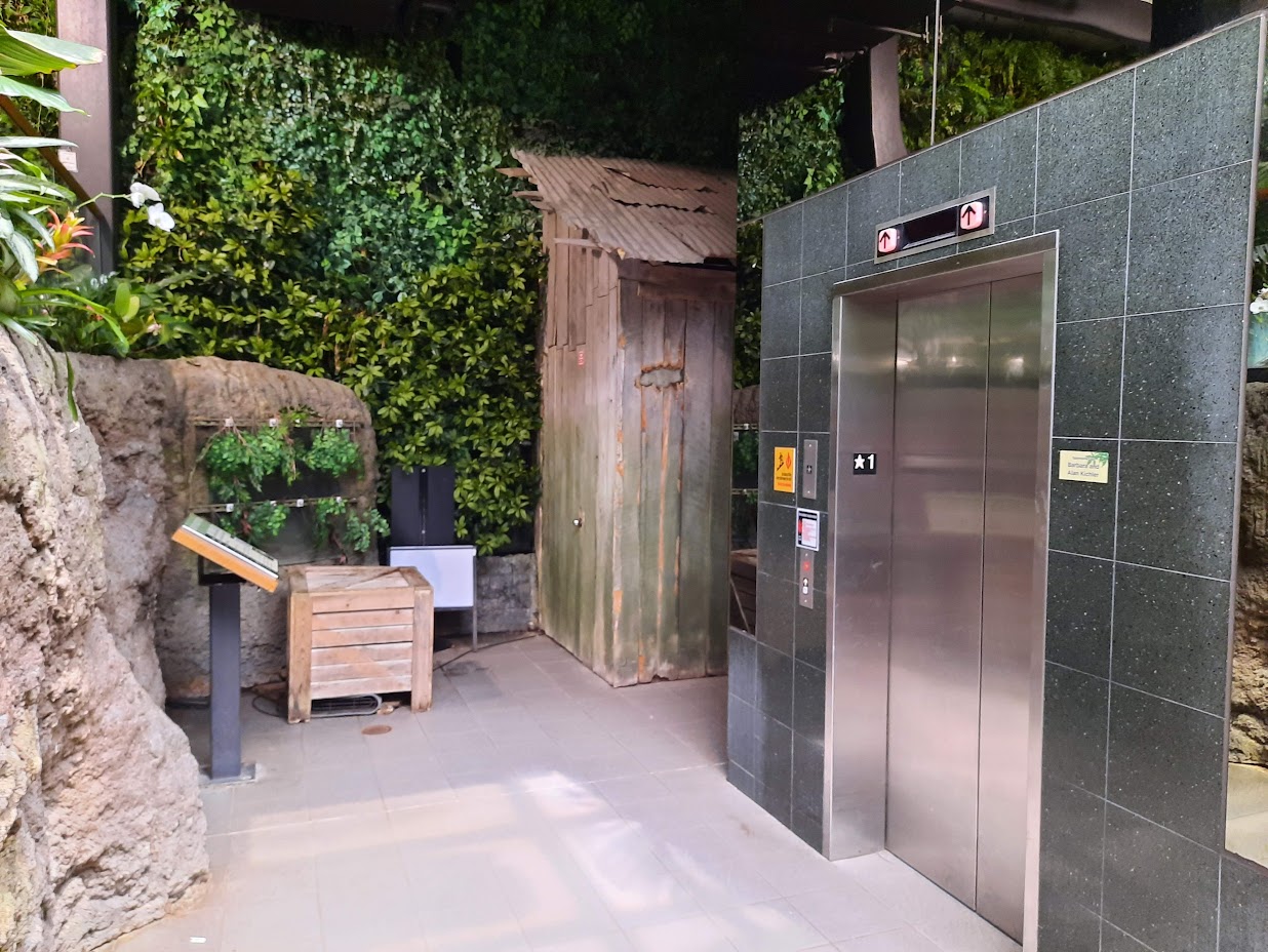 The RainForest - Elevator