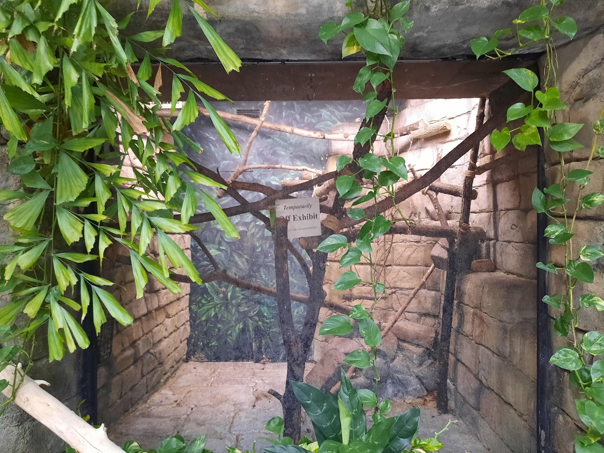 The RainForest - Empty Primate Exhibit