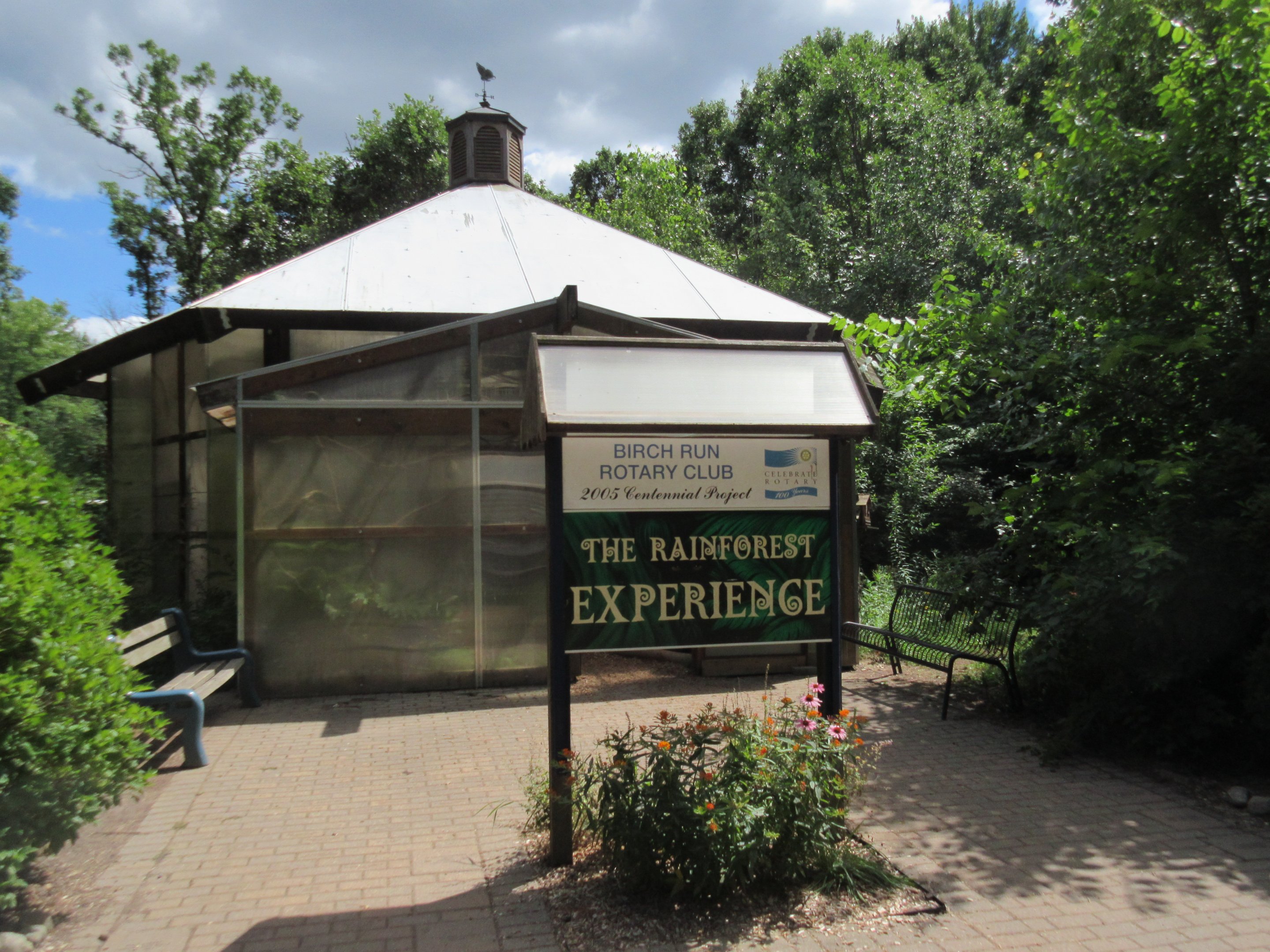 The Rainforest Experience