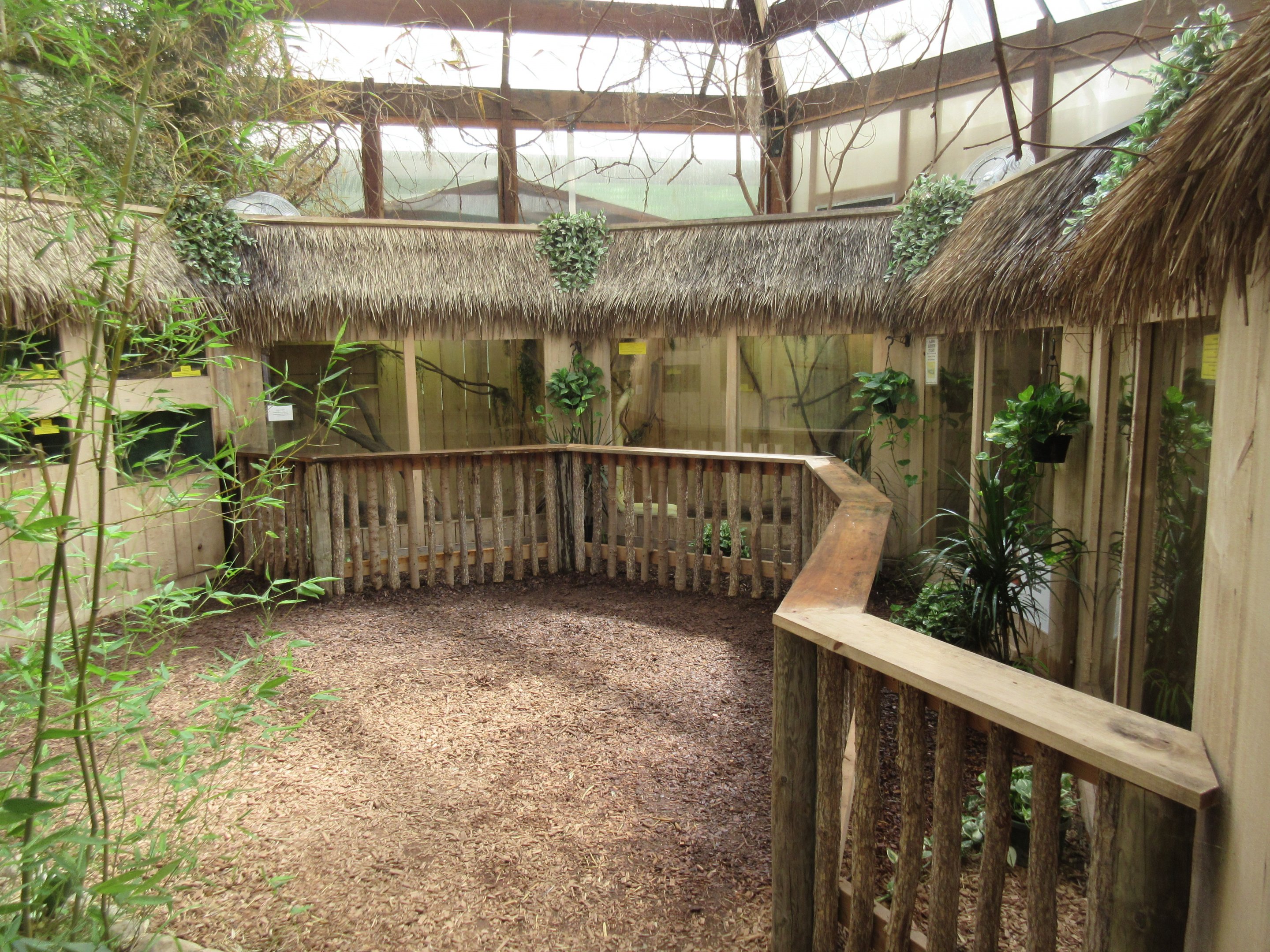 The Rainforest Experience