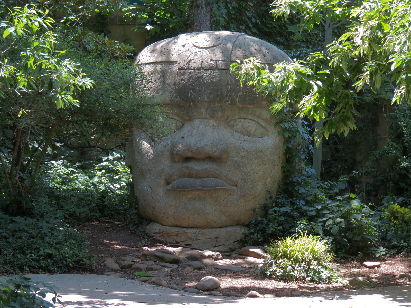 The Rainforest - Exterior