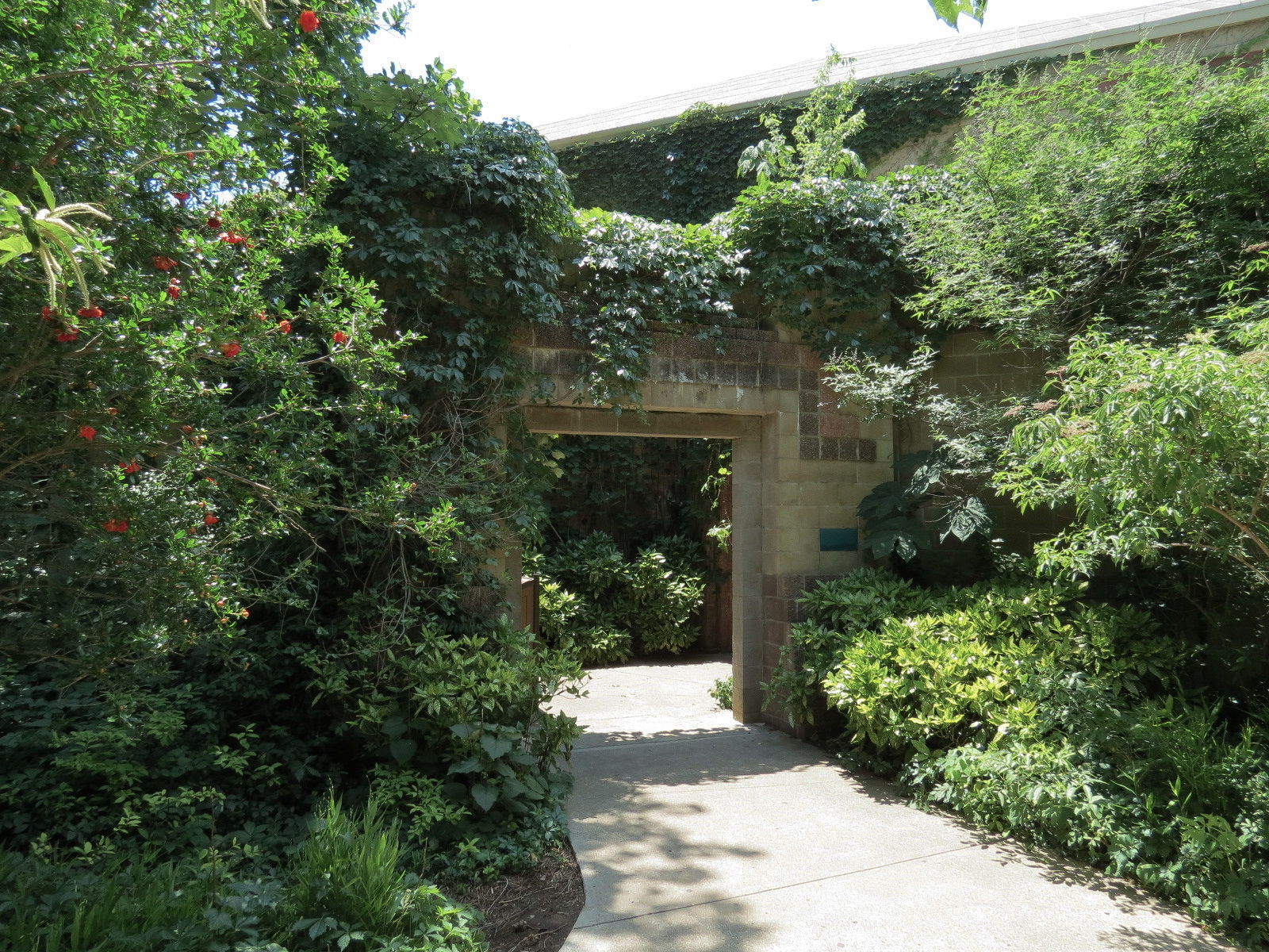 The Rainforest - Exterior