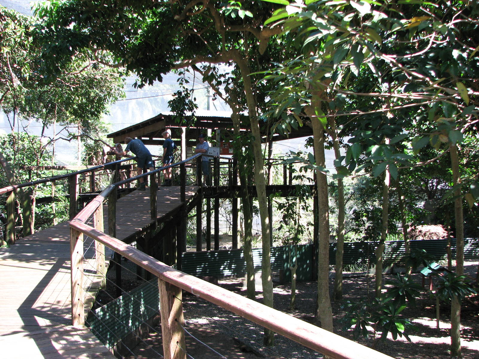 The Rainforest Habitat - Inside the walk-through aviary