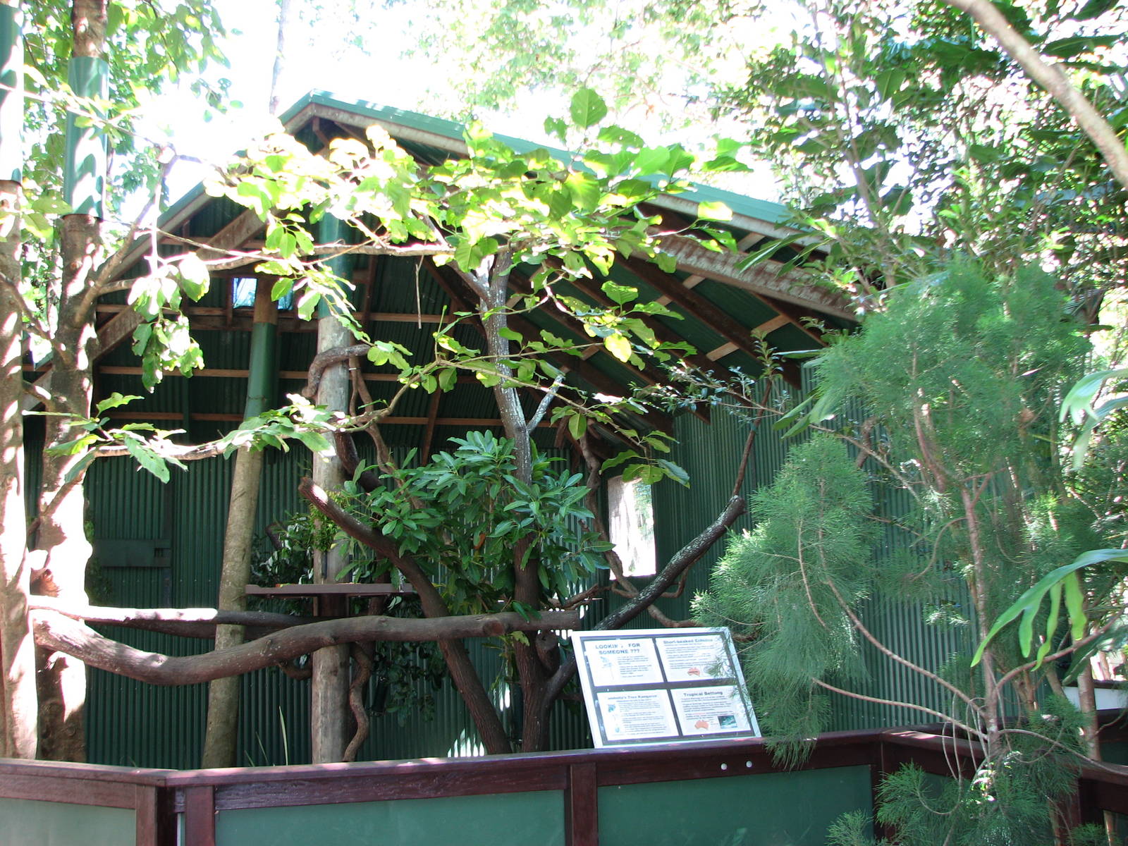 The Rainforest Habitat - Lumholtz Tree-kangaroo exhibit