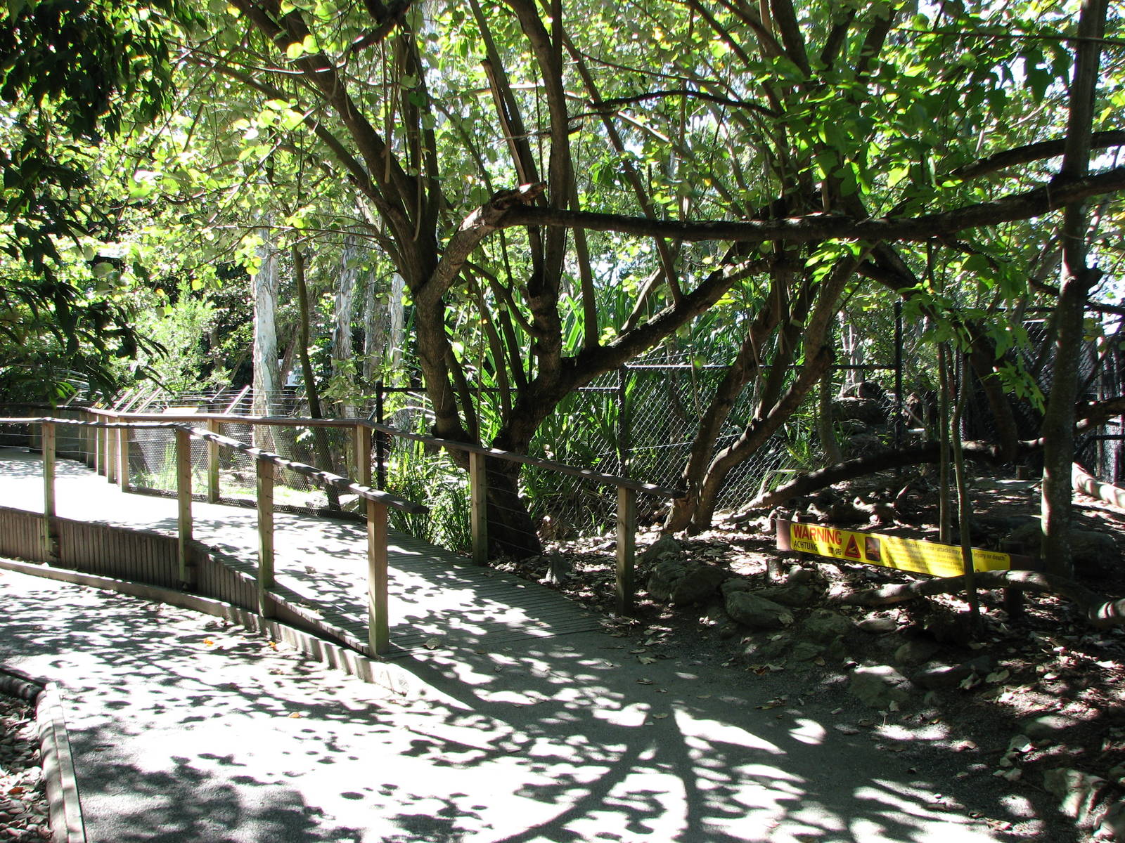 The Rainforest Habitat - Pathway leading towards the Crocodile exhibits