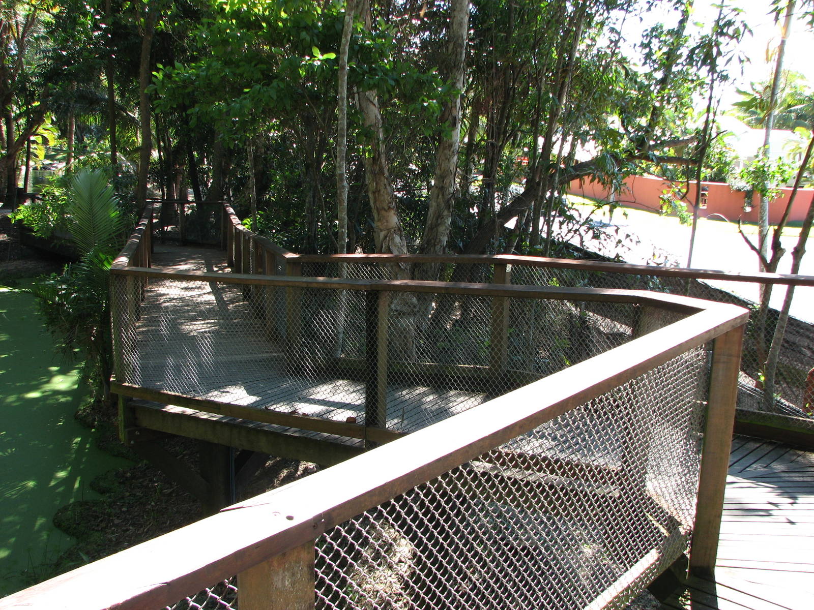 The Rainforest Habitat - Raised pathway by the Freshwater Crocodile exhibit