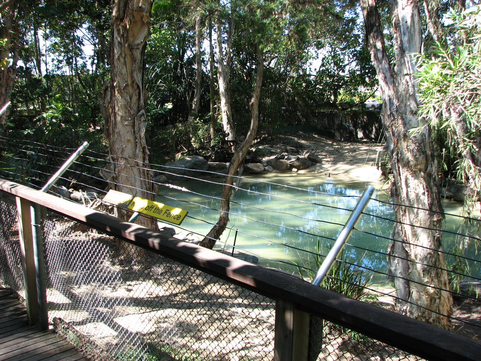 The Rainforest Habitat - Saltwater Crocodile exhibit