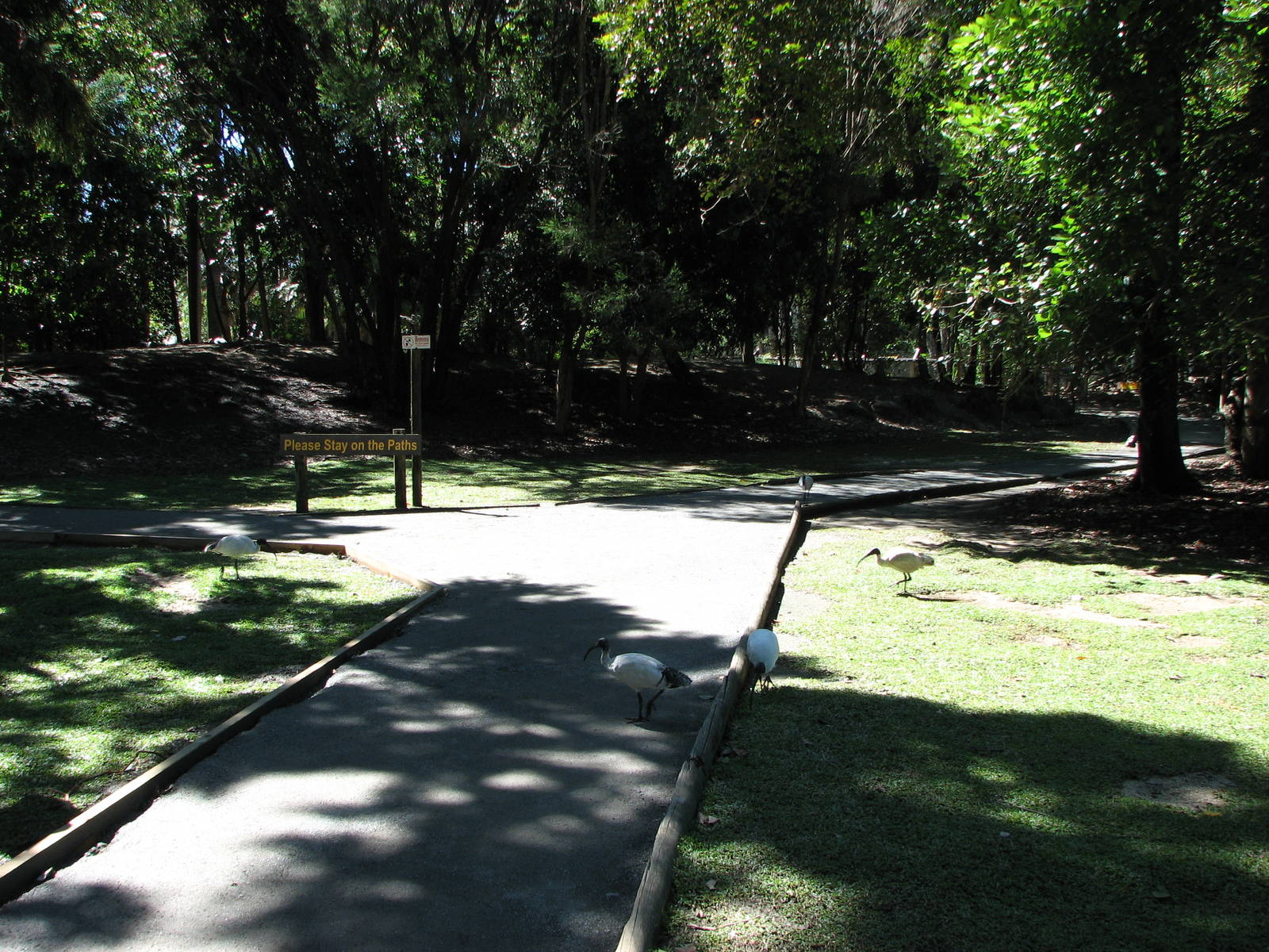 The Rainforest Habitat - Walk-through Kangaroo and Wallaby enclosure