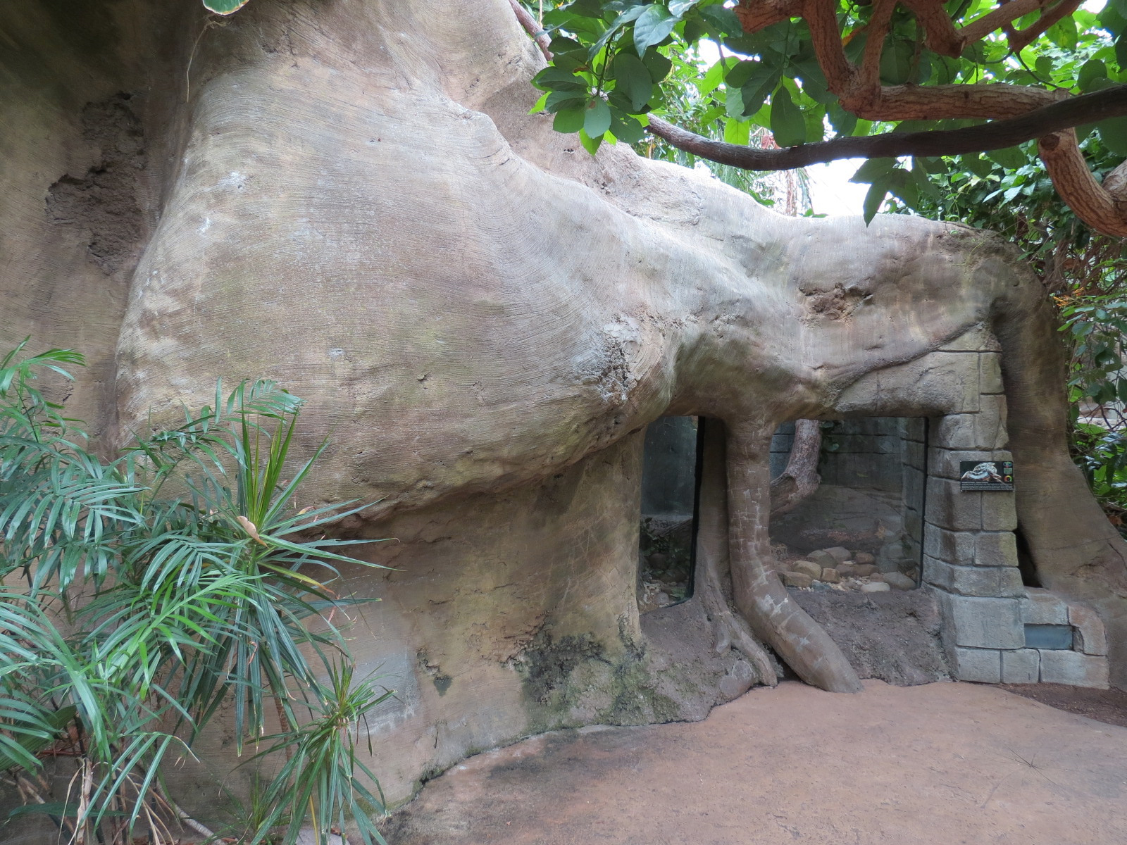 The Rainforest - Indian Python Exhibit