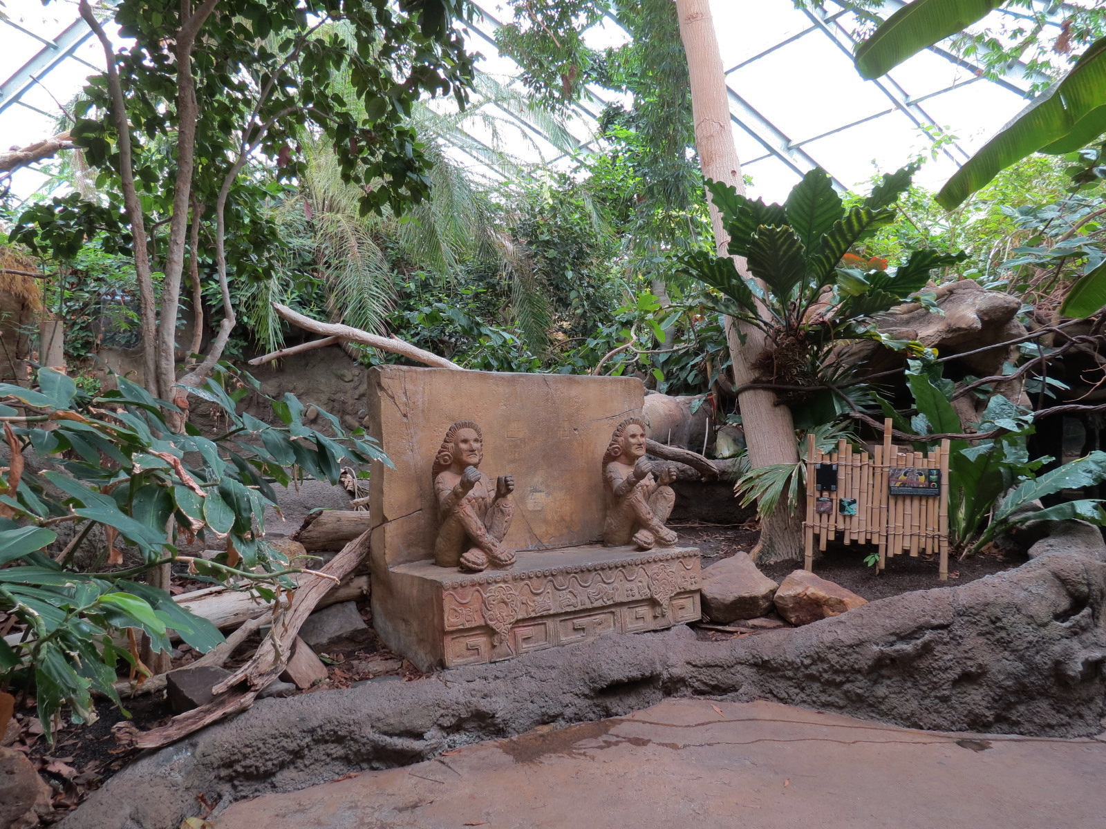 The Rainforest - Interior