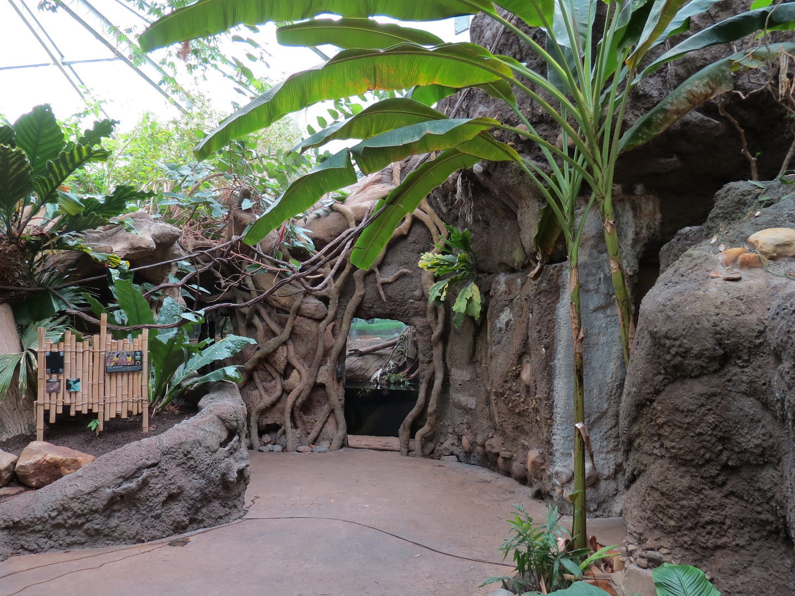 The Rainforest - Interior