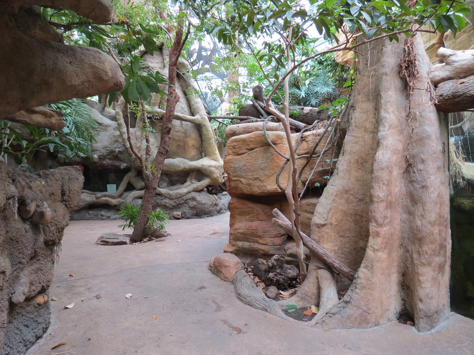 The Rainforest - Interior