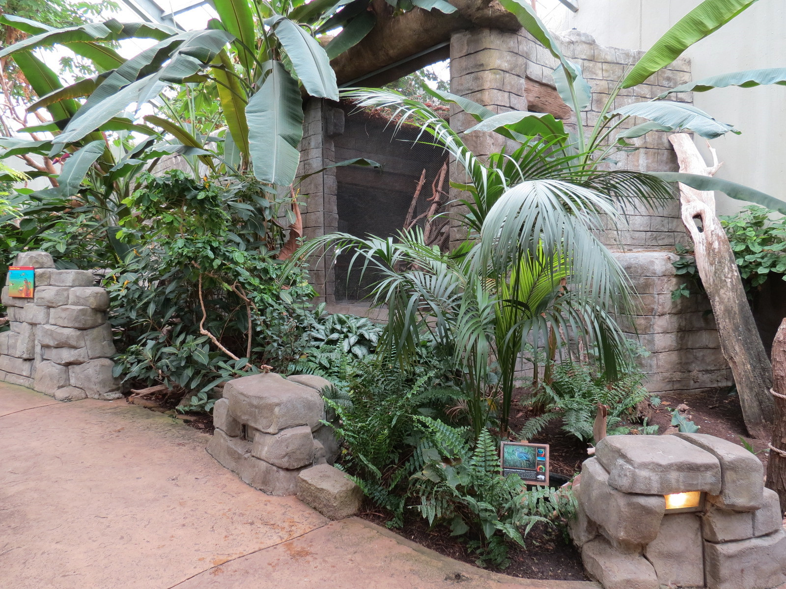 The Rainforest - Interior