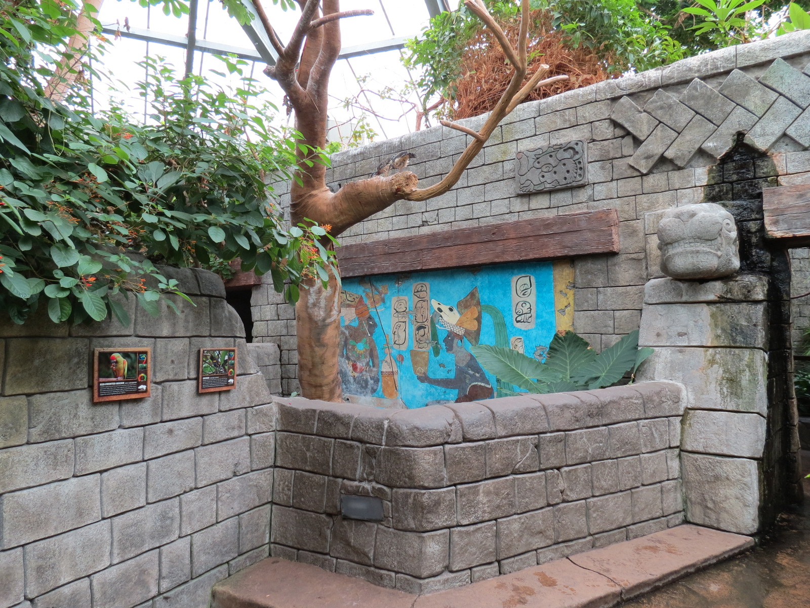 The Rainforest - Interior