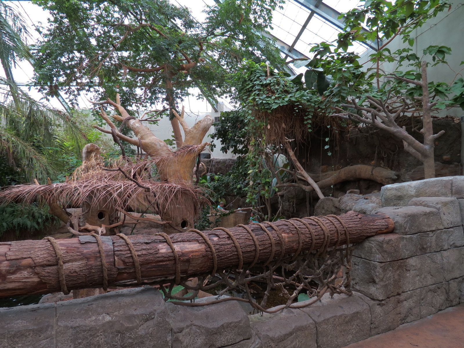 The Rainforest - Interior