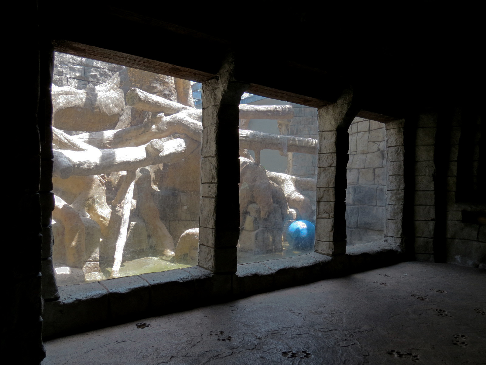 The Rainforest - Jaguar Exhibit