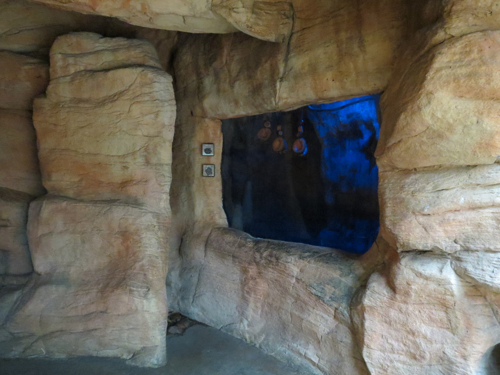 The Rainforest - Jamaican Fruit Bat and Short-tailed Fruit Bat Exhibit