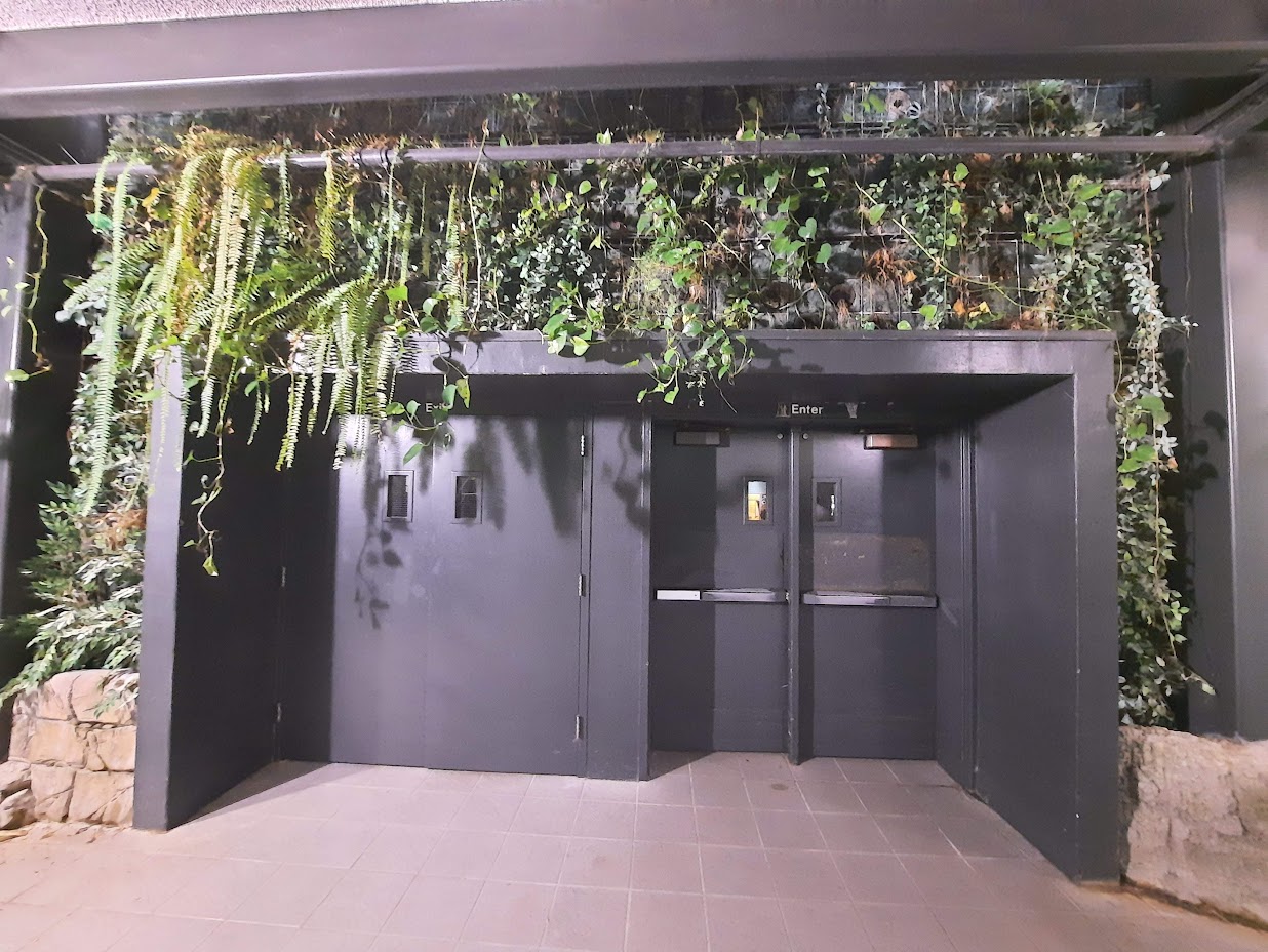 The RainForest - Lower Forest Entrance