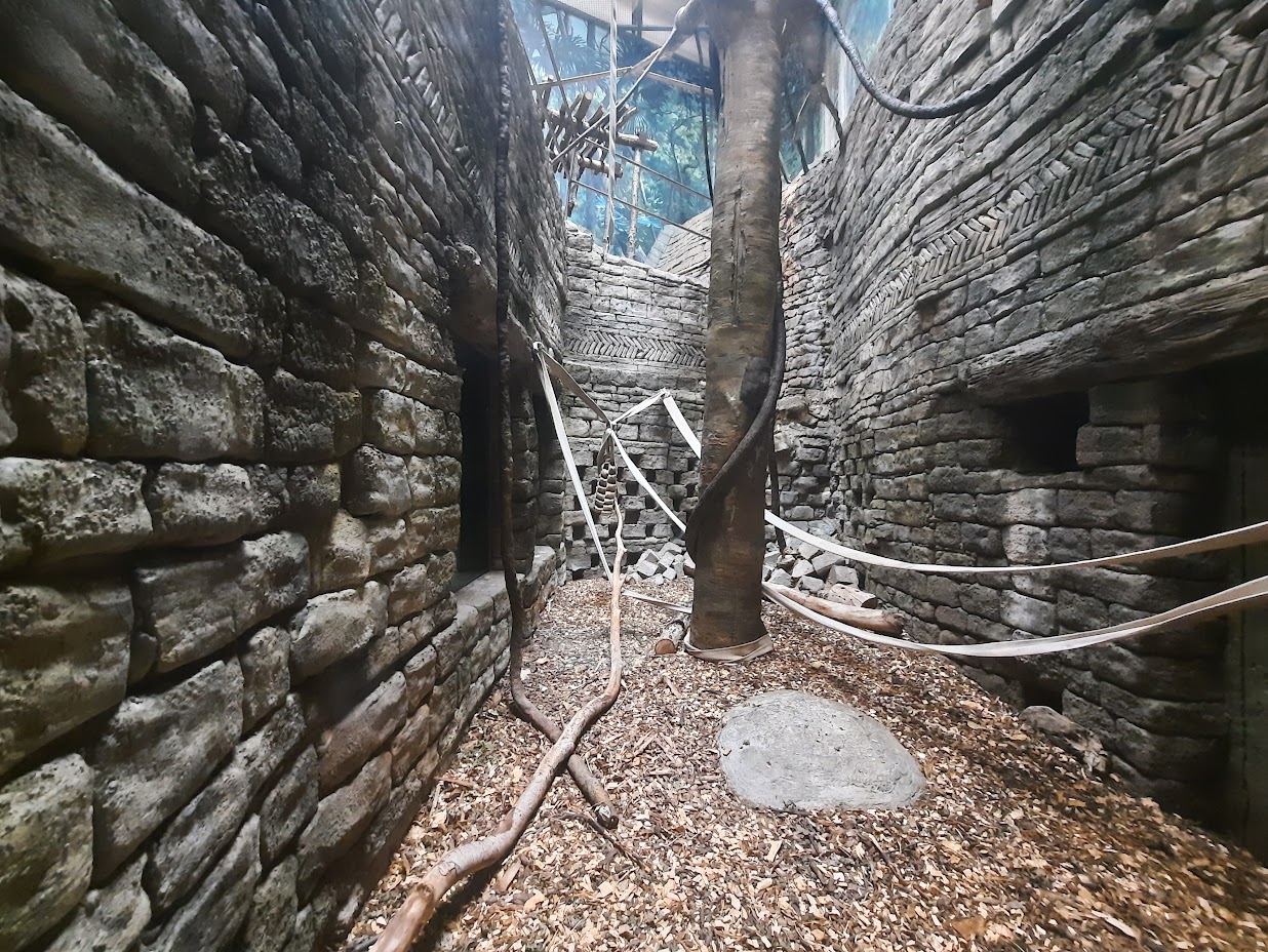 The RainForest - Lower Langur Exhibit 2