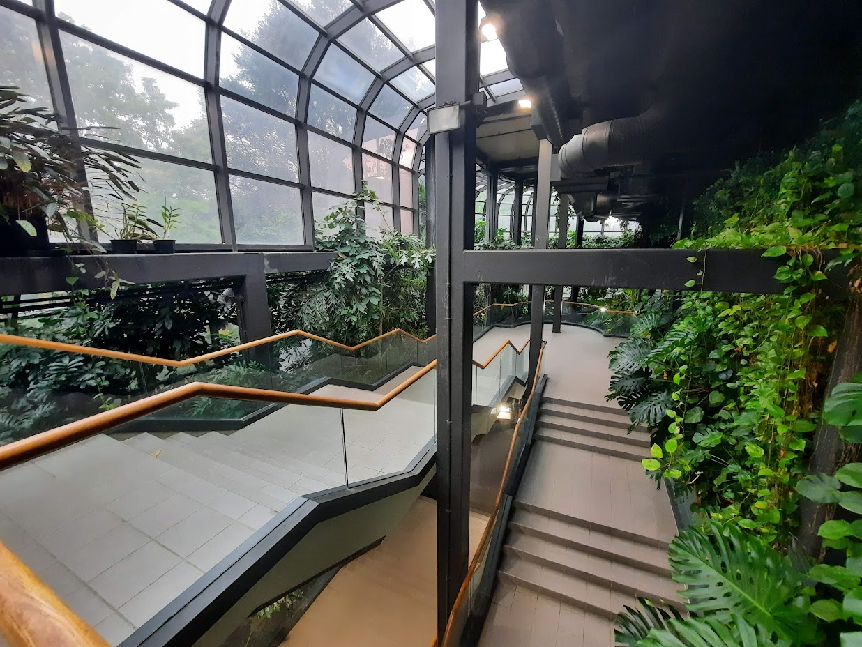 The RainForest - Main Staircase
