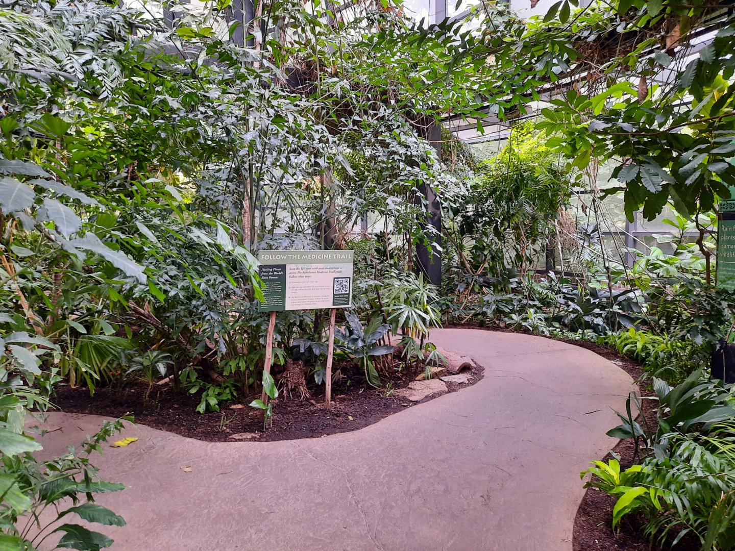 The RainForest - Medicine Trail Entrance