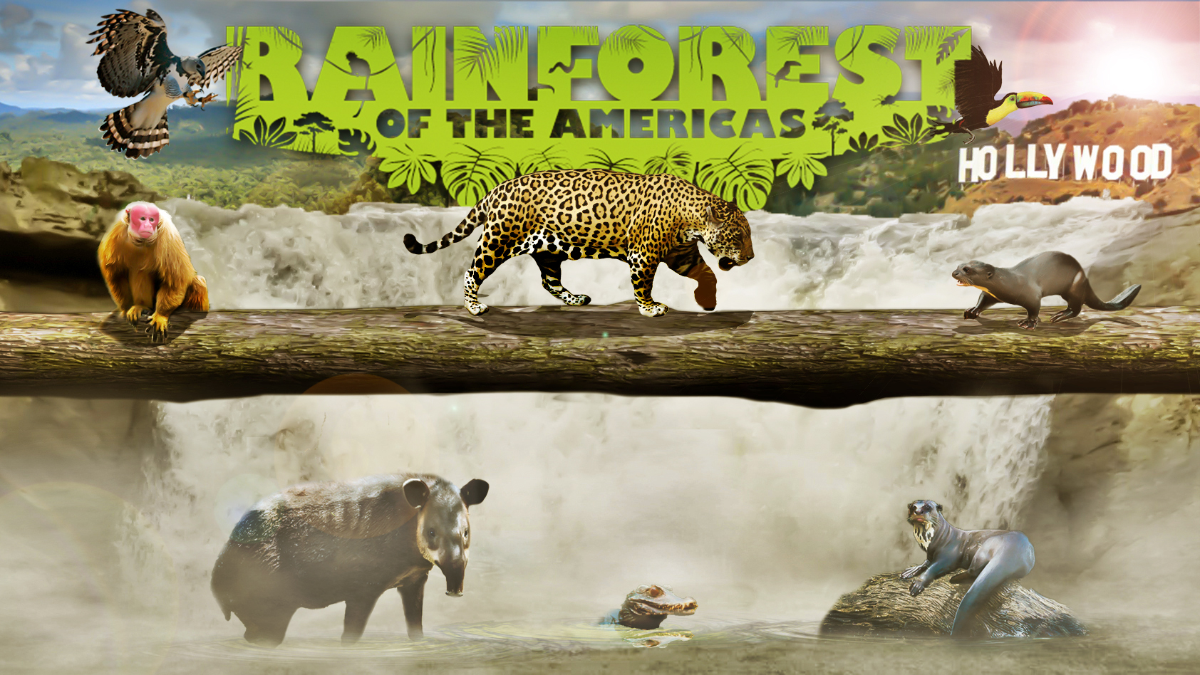 The Rainforest of the Americas Poster/Promo Art - Los Angeles Zoo