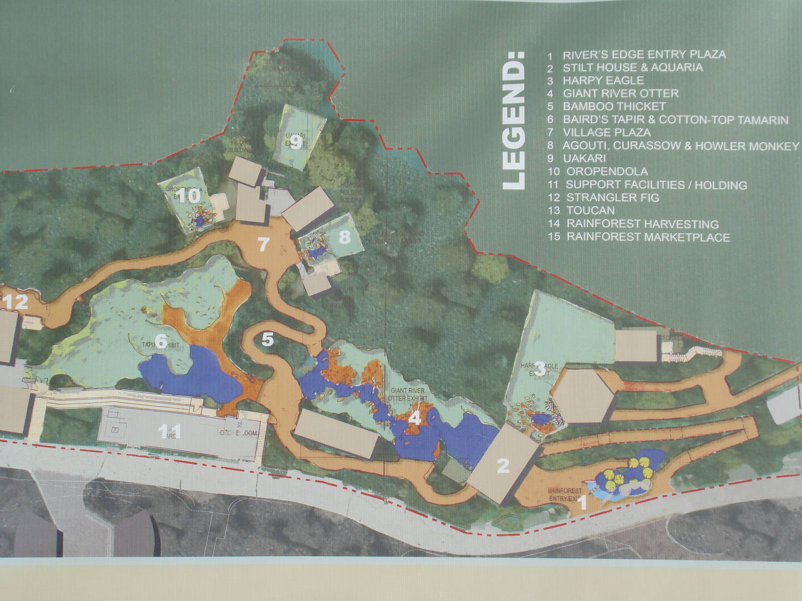 The Rainforest of the Americas site plan