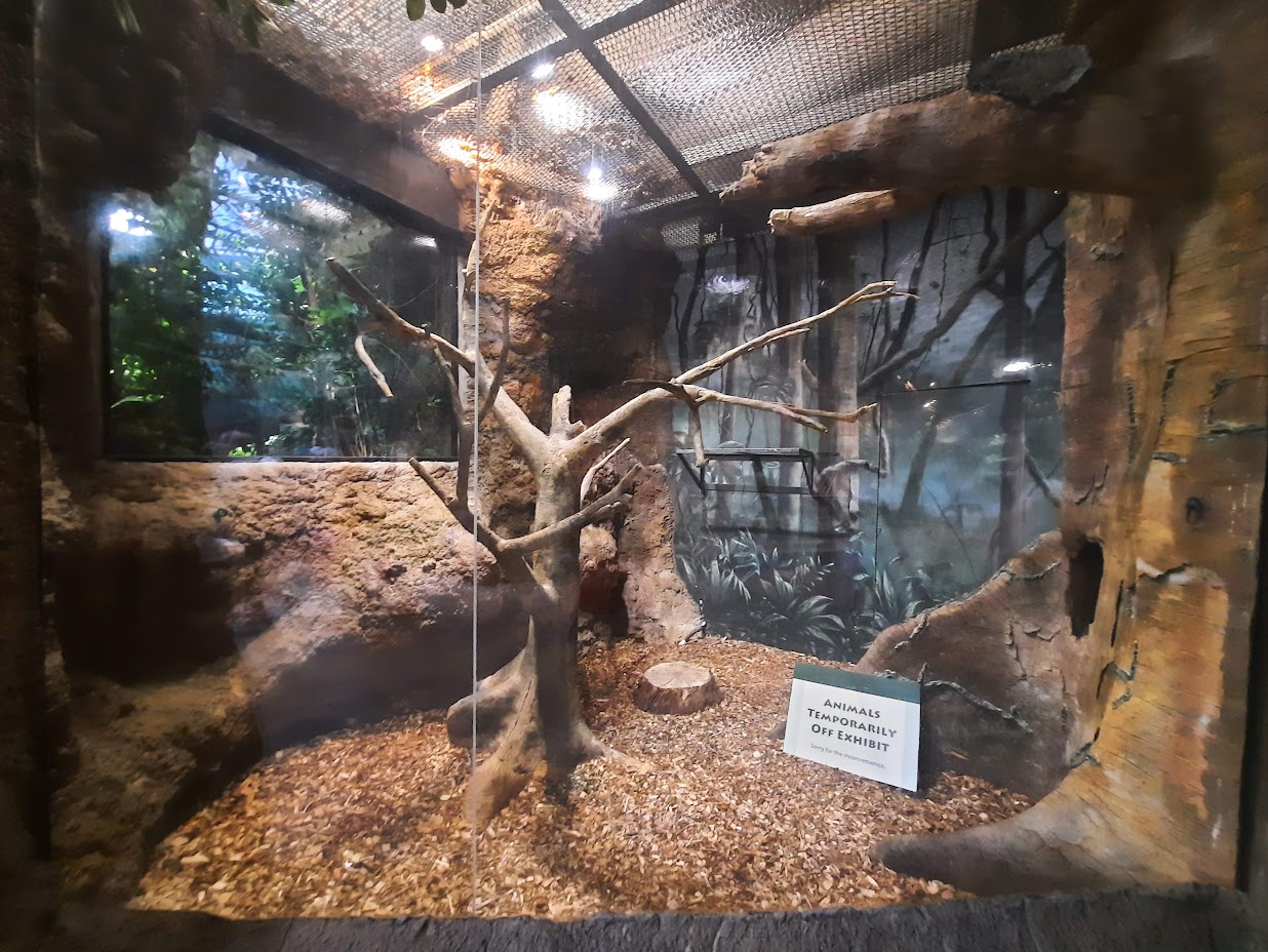 The RainForest - Prevost Squirrel Exhibit