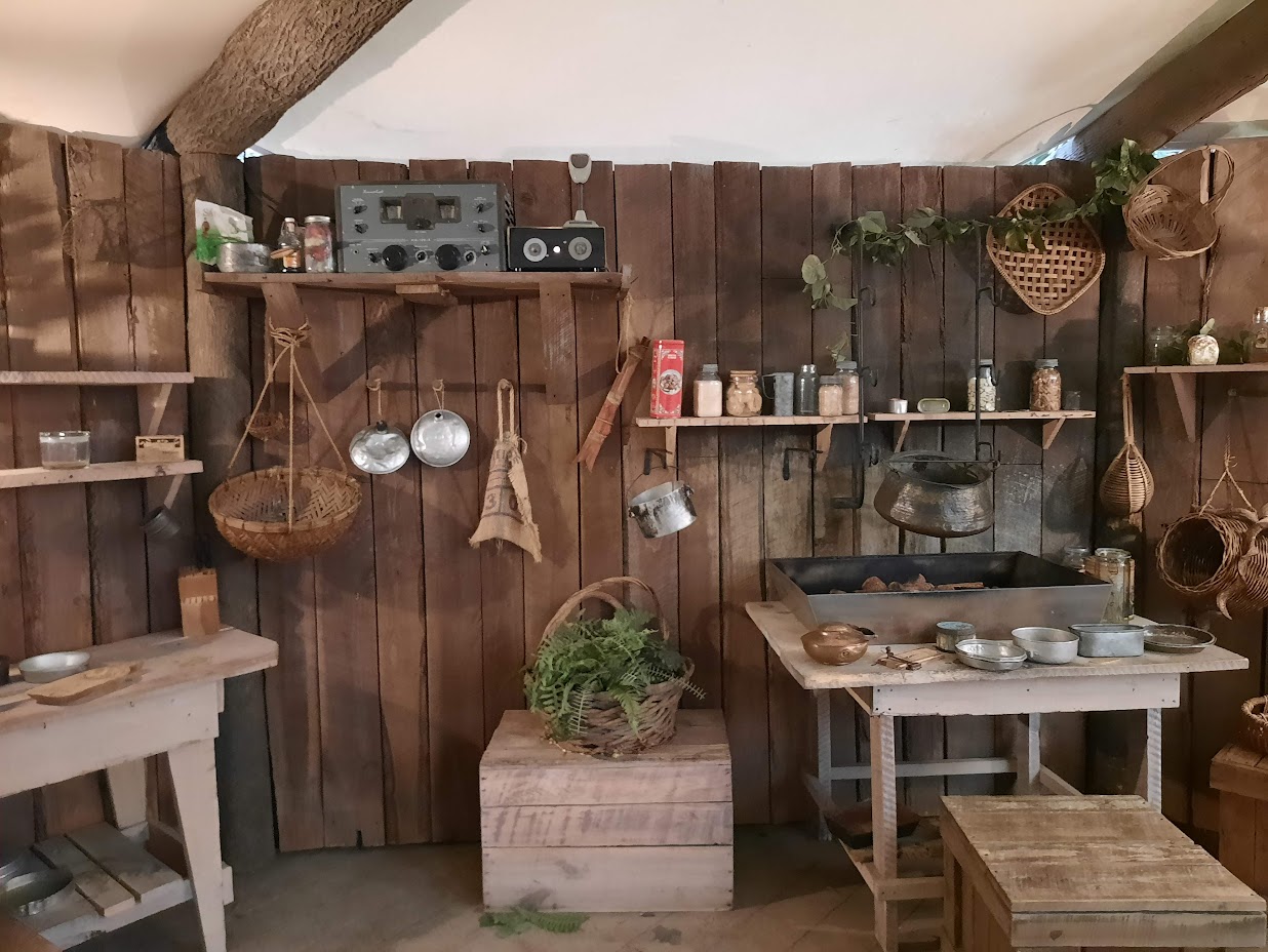 The RainForest - Research Hut Kitchen