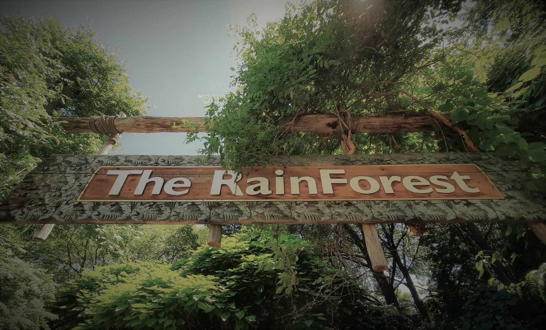 The RainForest sign