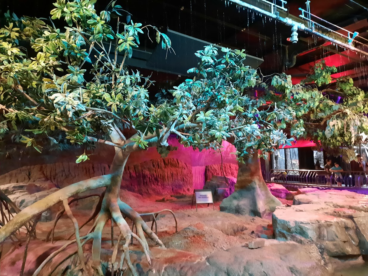 The RainForest - Stormy Island