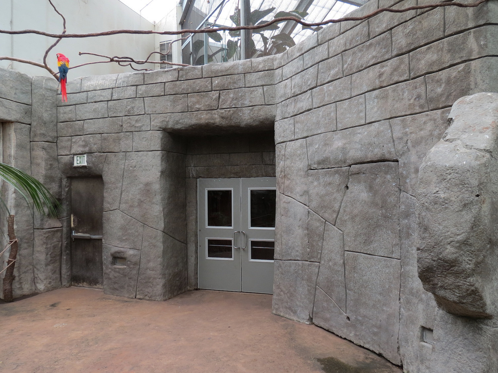 The Rainforest - Temple Passage